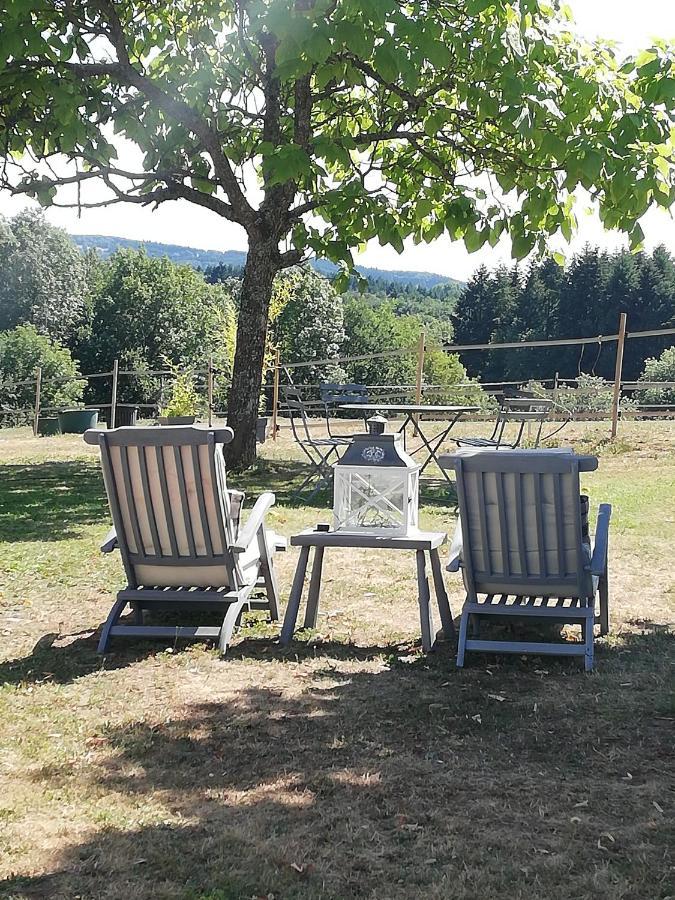 Chambre D'Hote Equestre Au Petit Bonheur Chateldon Exterior foto